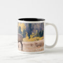 Search for elk antlers mugs Colorado