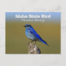 Search for idaho postcards Wild