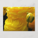 Search for brightness postcards Flowers