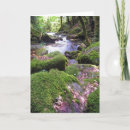 Search for creek cards Country