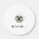 Search for shihtzu magnets Cute