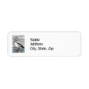 Search for pelican return address labels Ocean