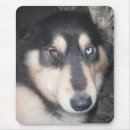 Search for blue eyes mousepads Pets