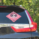 Search for stylish bumper stickers Pink