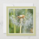 Search for dandelion baby shower invitations Flowers