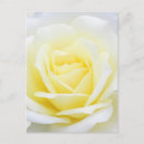 Search for creamy postcards White