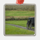 Search for amish christmas tree decorations Farm