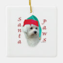 Search for bichon christmas tree decorations Frise