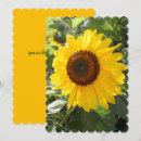 Search for large image cards Flowers