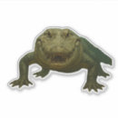 Search for alligators bumper stickers Nature