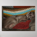 Search for snooze posters Dog