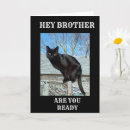 Search for funny cat sayings cards For him