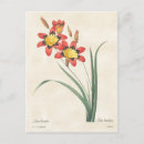 Search for harlequin cards invites Floral