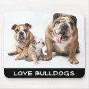 Search for bulldogs mousepads Puppies
