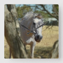 Search for steed art Animal