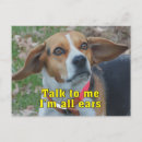 Search for beagle postcards Funny