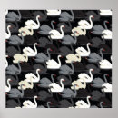 Search for monotone posters Pattern