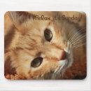 Search for hilarious saying mousepads Cat