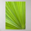Search for abstract palm tree art Green