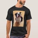 Search for boston terrier tshirts Pets