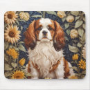 Search for spaniel electronics Vintage