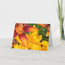 Search for asiatic cards Flowers