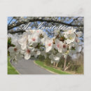 Search for gospel postcards Easter