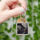 Search for minor key rings Astronomy