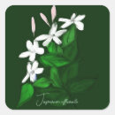Search for jasmin stickers Floral