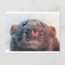 Search for attentiveness postcards Cute