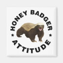 Search for honey badgers magnets Funny