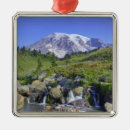 Search for mt rainier christmas tree decorations Np