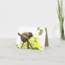 Search for small tree cards Australia