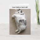 Search for cat thanksgiving cards Pet