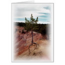 Search for stand alone Tree