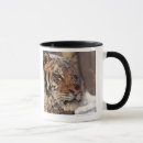 Search for siberian tiger mugs Outdoors