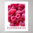 Search for raspberry art Raspberries