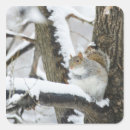 Search for low temperature stickers Full length