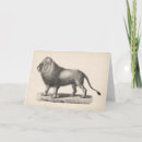 Search for animal sketch cards Wildlife