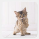 Search for lick stickers Nature