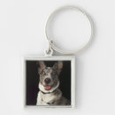 Search for harness key rings Dog