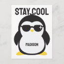 Search for cool birds postcards Penguin