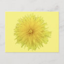Search for dandelions postcards Encouragement
