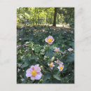 Search for park spring postcards Flowers