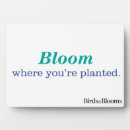 Search for plant plaques Flower