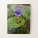 Search for ladybird puzzles Insect