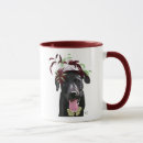 Search for fascination mugs Fascinator
