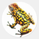 Search for ribbit stickers Nature