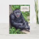 Search for chimpanzee cards Wildlife