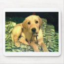 Search for yellow lab mousepads Retrievers